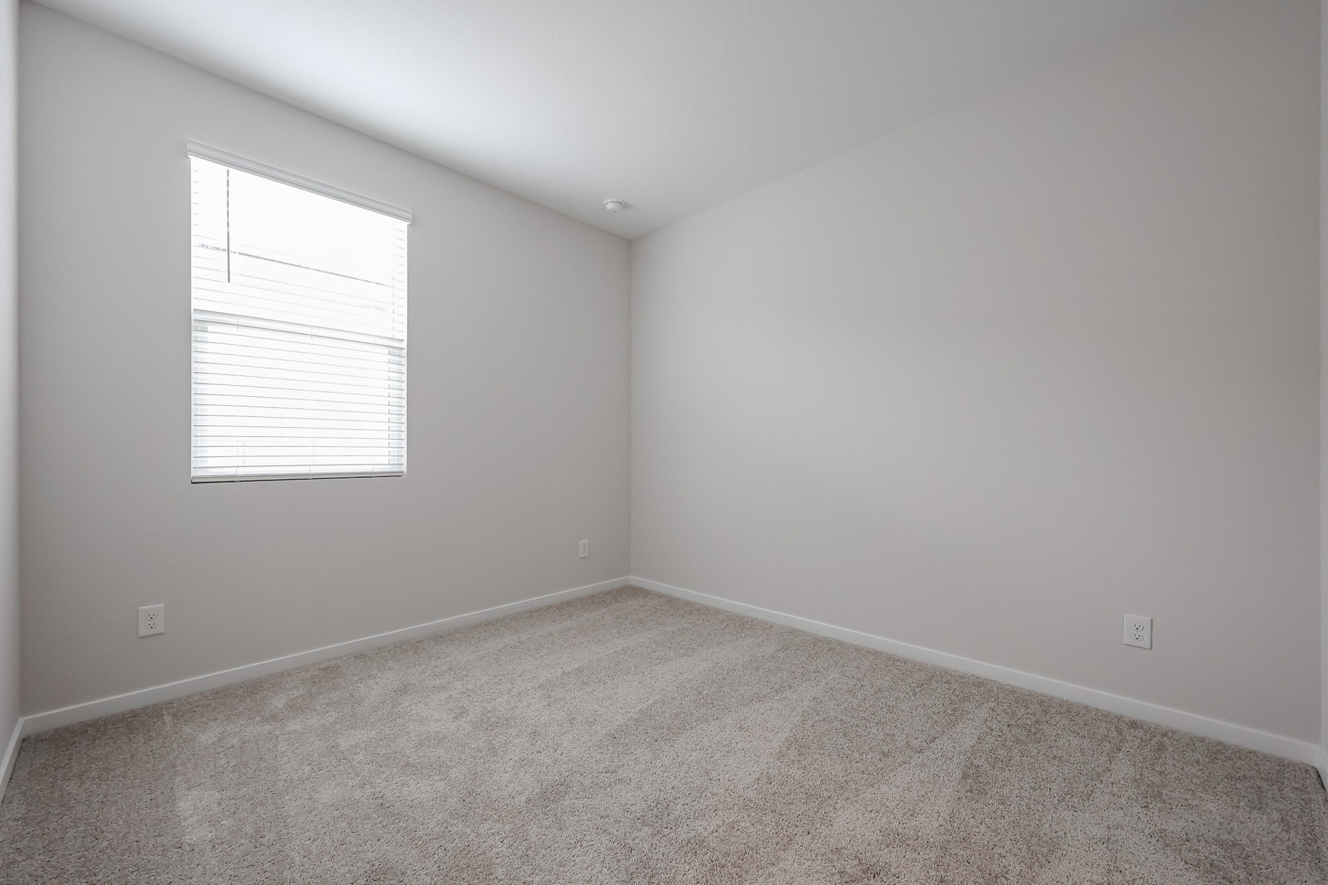 A room with a carpet and a window.