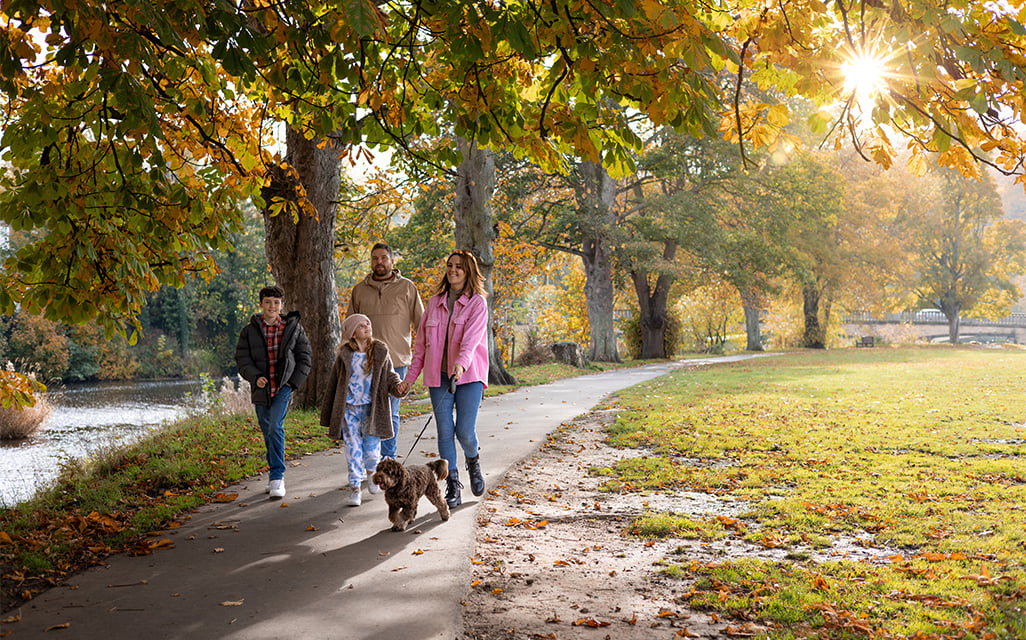 A group of people walking a dog on a path in a park.