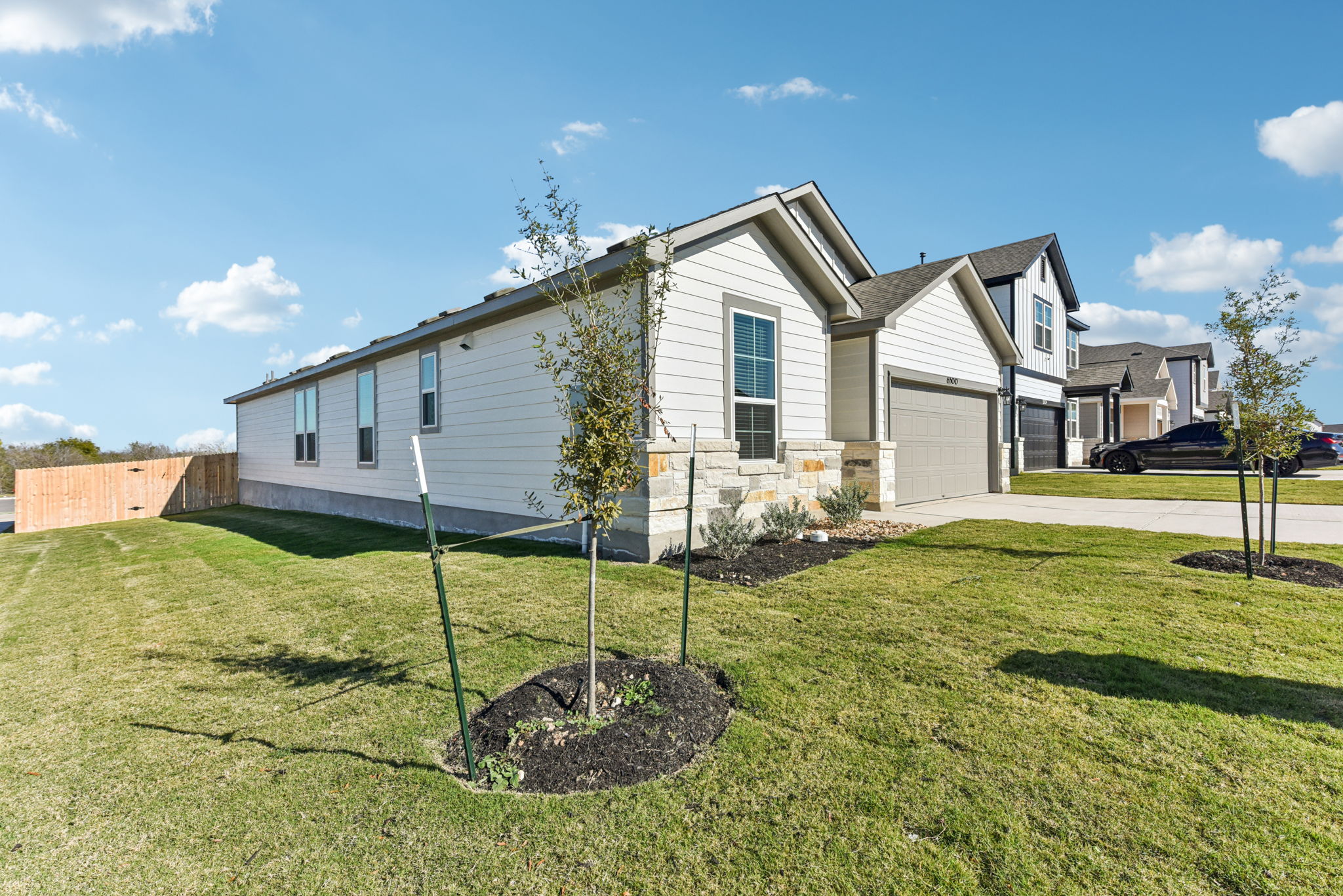 A house with a yard and a tree in the front.