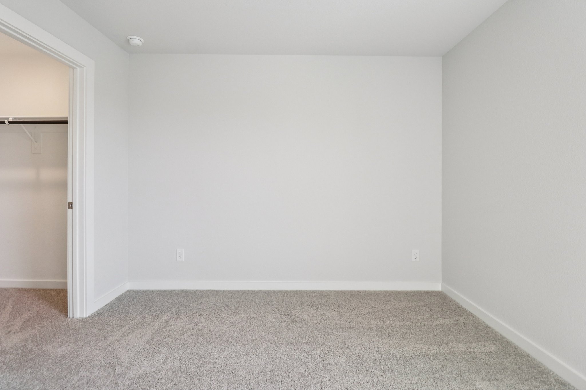 A room with a carpet and a door.