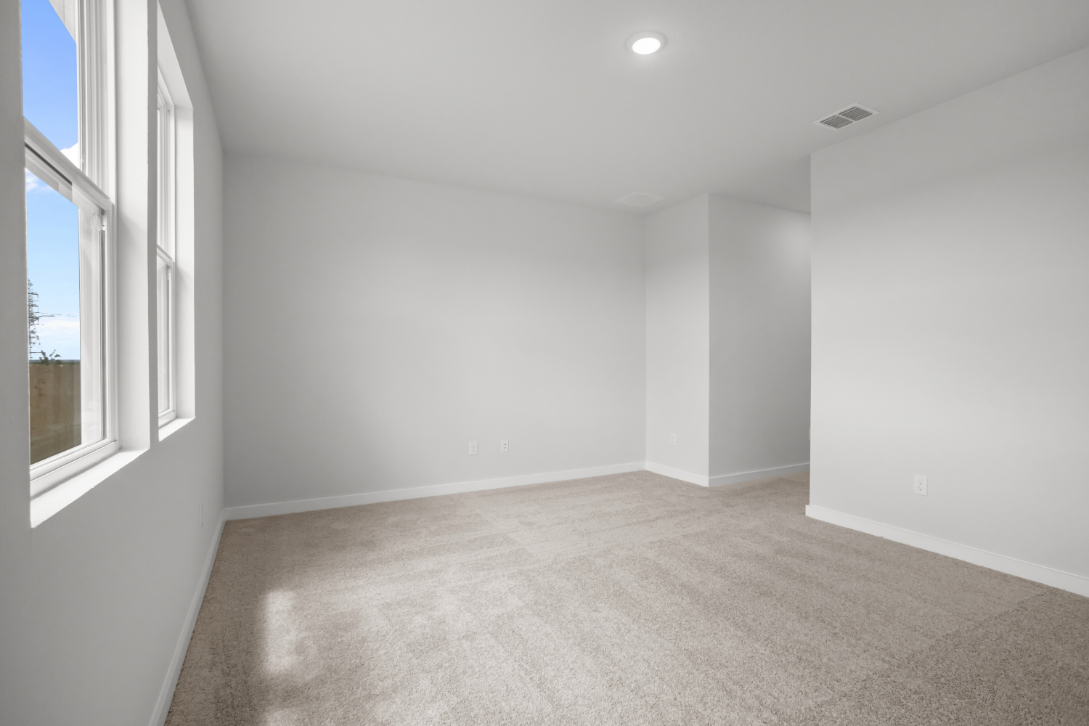 A room with a carpet and windows.