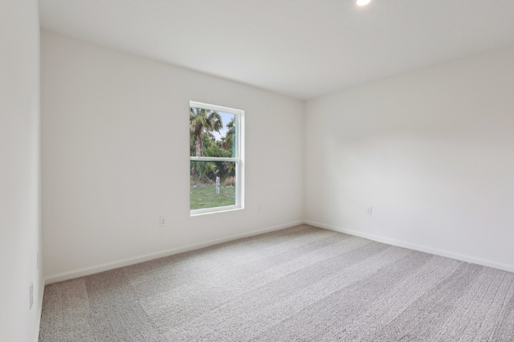 A room with a window and a plant in it.